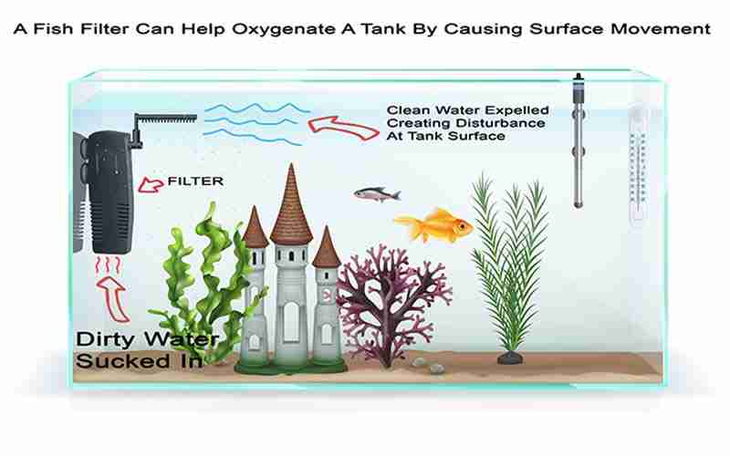 A filter can help oxygenate a tank by causing surface movement.