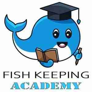 Fish Keeping Academy Home