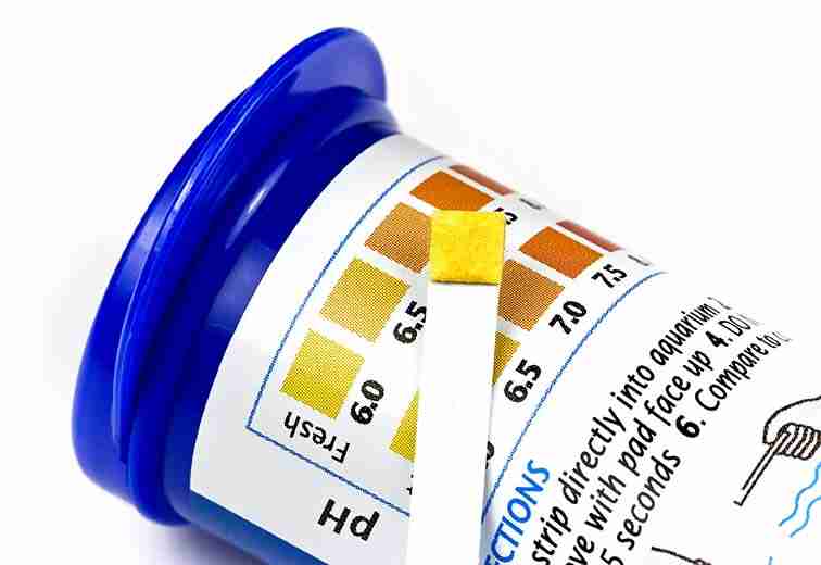 How to soften aquarium water (Quick and easy tips) 6 aquarium water test kits