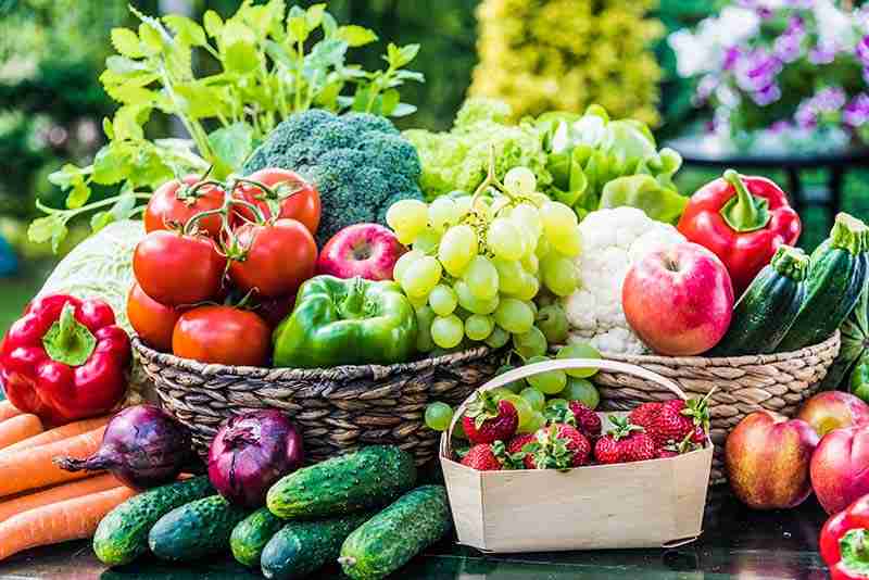 Image of fruit vegetables and plants which clown loaches eat as part of their varied diet.