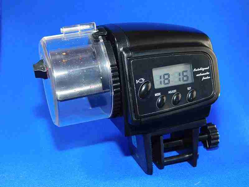 How Long Can Betta Fish Go Without Food (Before getting ill) 6 automatic fish feeder for aquariums