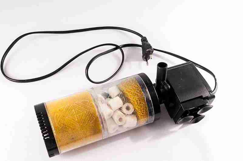 Are Betta Fish Freshwater Or Saltwater 5 betta tank filter