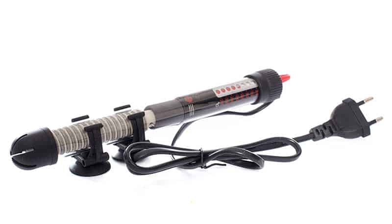 How Long Can Tropical Fish Live Without A Heater 2 fish tank heater