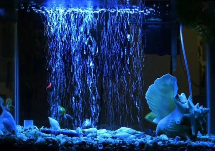 How Do You Oxygenate A Fish Tank