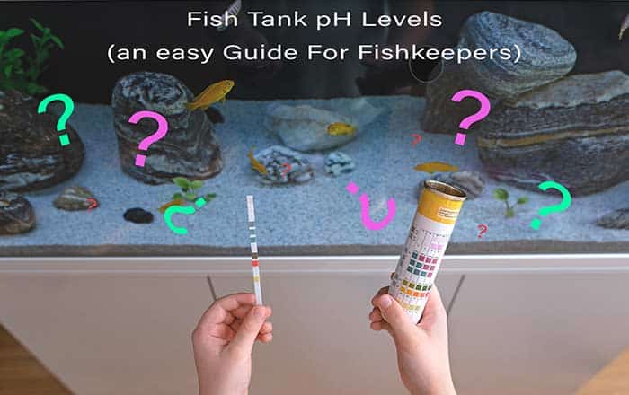 Fish Tank pH Levels - Guide For Fishkeepers