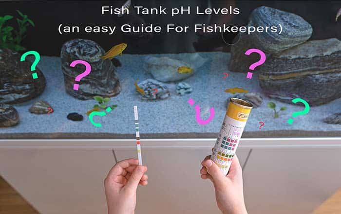Fish Tank pH Levels (An easy guide for fishkeepers) 1 Fish Tank pH Levels - Guide For Fishkeepers