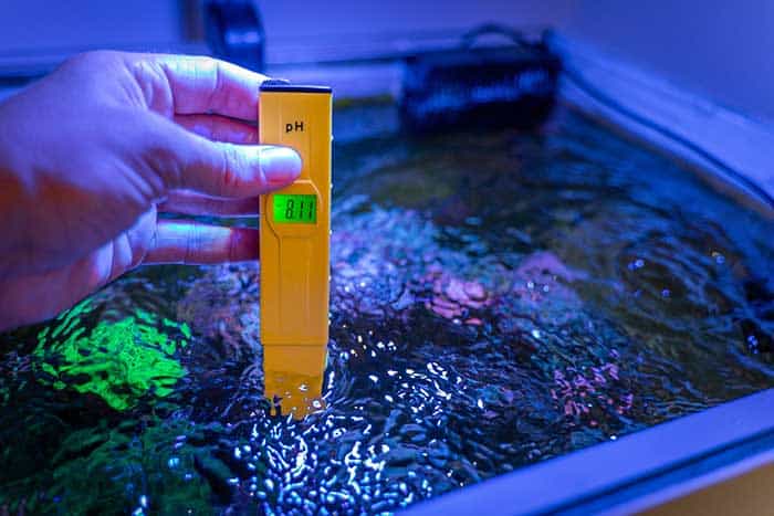 How To Test pH In A Fish Tank