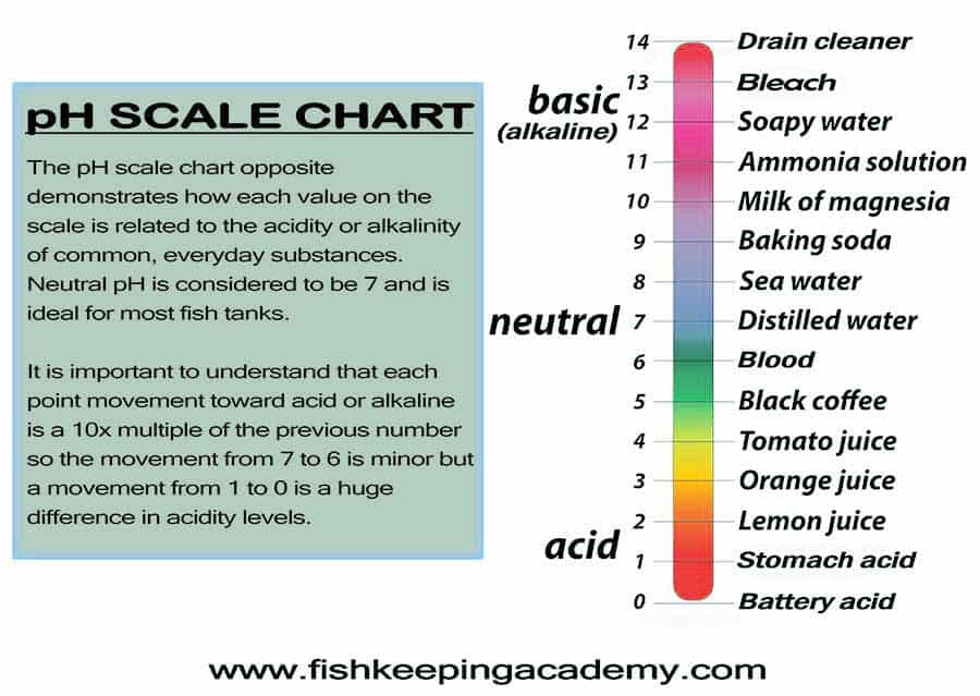Water pH Scale Chart