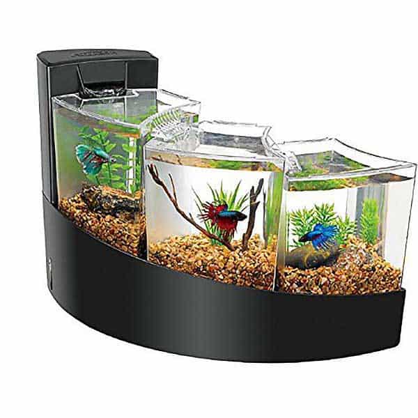 aqueon-betta-falls-multiple-betta-tank