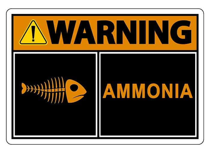 How To Reduce Ammonia In A Fish Tank