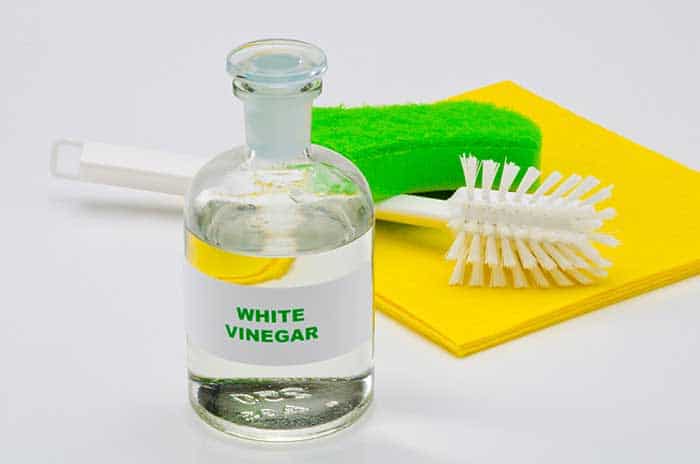 How To Clean A Fish Tank With Vinegar