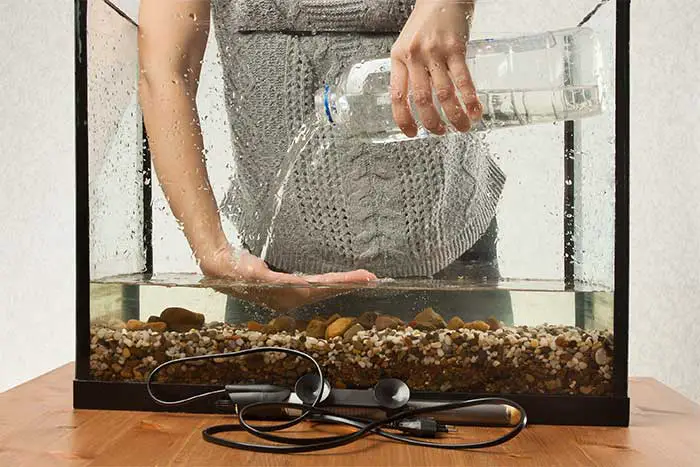 What Water To Use For Betta Fish (And the reasons why) 1 What Water To Use For Betta Fish