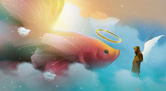 How To Euthanize A Betta Fish (Humanely & Painlessly) 6 How To Dispose Of A Euthanized Betta Fish