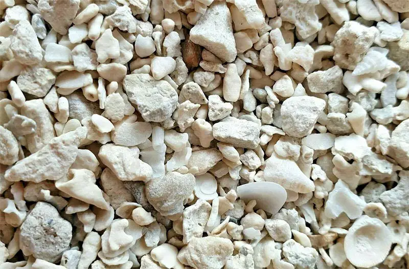 Image of Crushed Coral for raising alkalinity in a fish tank.