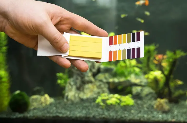 image showing test strips for how to raise the alkalinity in a freshwater aquarium